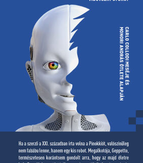 Pin:okkio