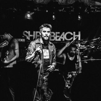 Shell Beach, Choke City, YZZO, Meristem