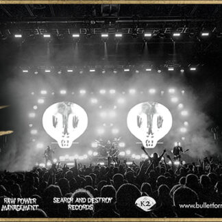 Bullet for My Valentine