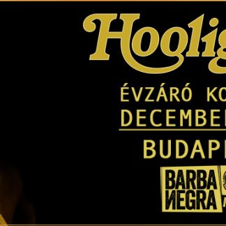 HOOLIGANS