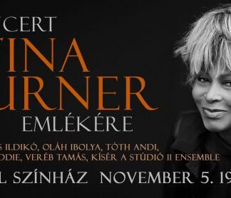 Koncert Tina Turner emlékére