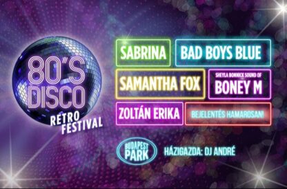 80's Disco Retro Festival