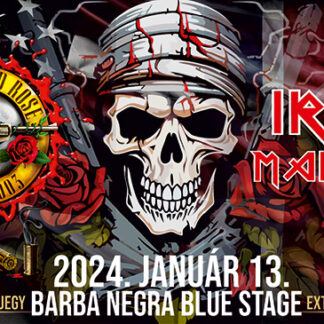 IRON MAIDNEM | HOLLYWOOD ROSE
