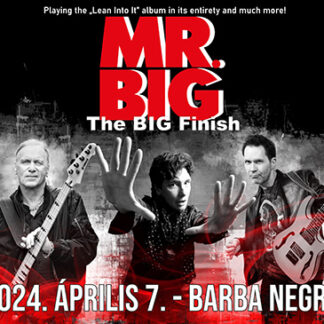 MR. BIG