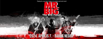 MR. BIG