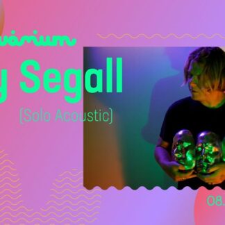 Ty Segall (Solo Acoustic)